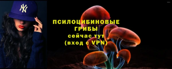 марки nbome Медвежьегорск