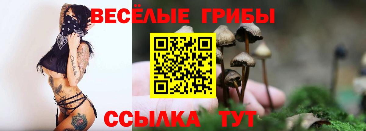 Йошкар-Ола  Галлюциногенные грибы Cubensis  Вход с VPN  Псилоцибиновые грибы мухоморы 